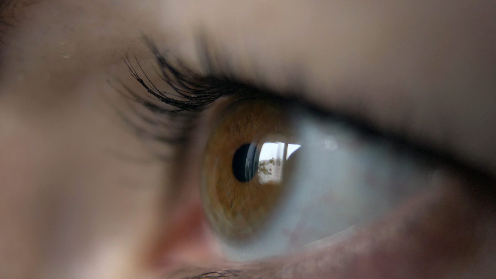Susan R. Barry, a Neuroscientist who Corrected her Strabismus Naturally